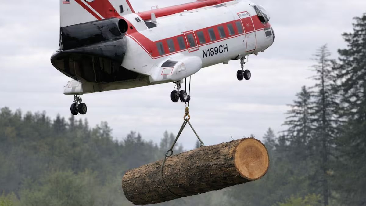 Helicópteros están arrojando troncos sobre ríos de Estados Unidos: más de 6.000 árboles con un objetivo vital